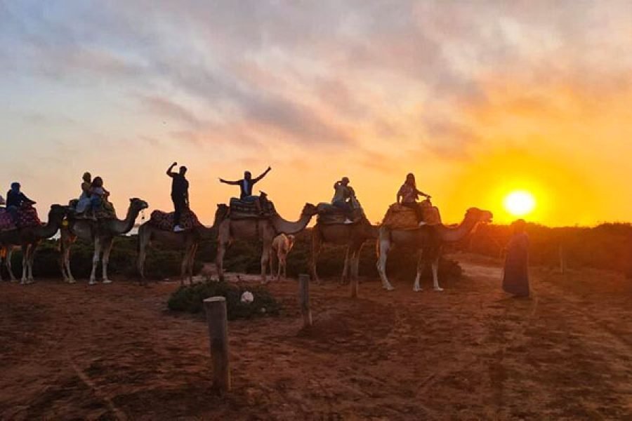 From Agadir, Sunset Camel Ride & BBQ Dinner Option