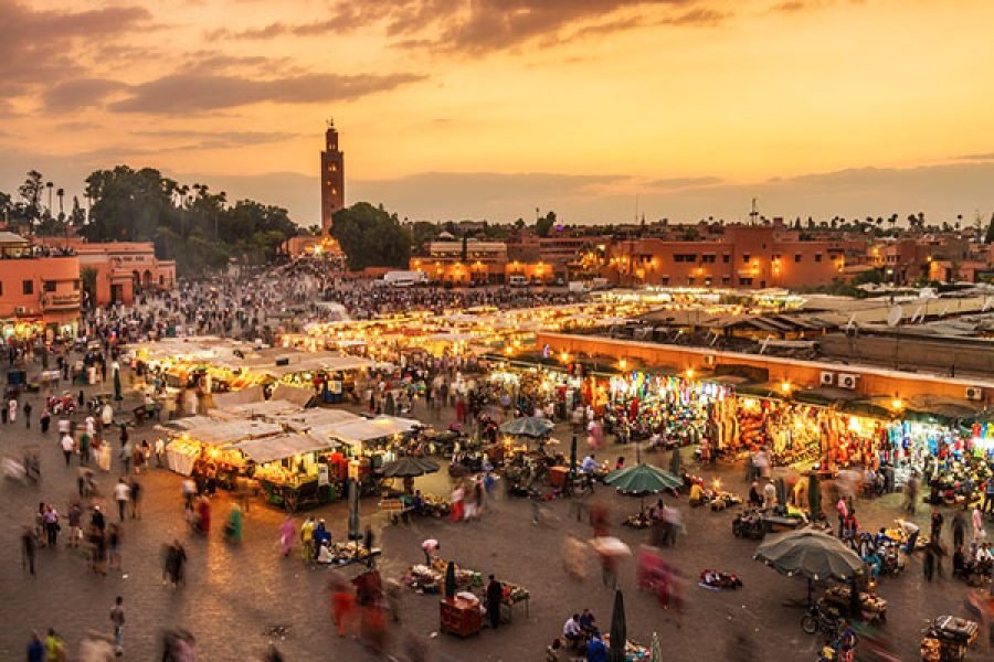 Discover Marrakech on a shared full-day trip from Agadir